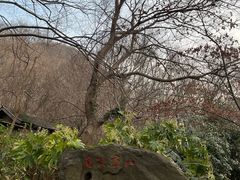 -南京市江宁方山