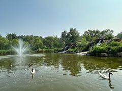 -北京野生动物园