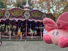 -上海共青森林公园