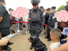 -大明宫国家遗址公园·御道广场