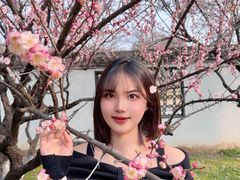 -东湖磨山景区樱花园-停车场