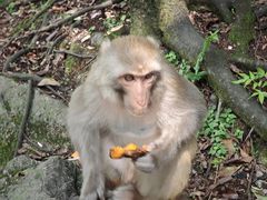 -黔灵山公园