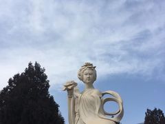 -北京西山国家森林公园