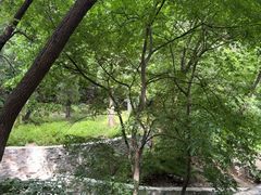 -北京上方山国家森林公园