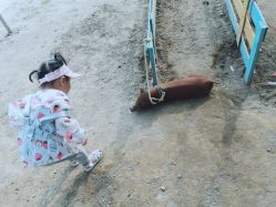 -上美四季动物农场