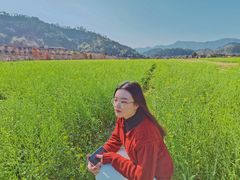 -福建土楼（华安）旅游区•大地土楼群