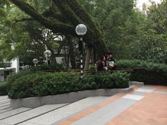 -香港大学