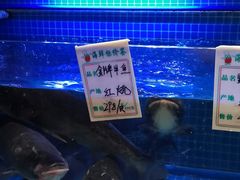 水产区-姜君·千岛湖鱼头馆(浦东大道店)