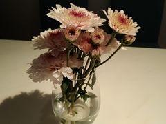 -伊斯坦布尔土耳其清真咖啡餐厅