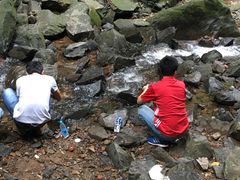 -藏龙百瀑风景区