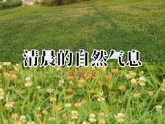 -成都中医药大学(温江校区)