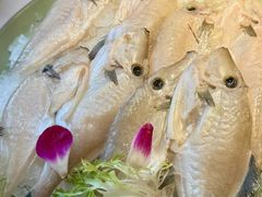 -巴倒烫陆派火锅山庄(南山总店)