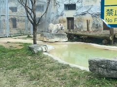 -黔灵山公园