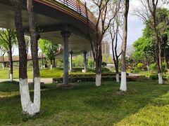 -府河摄影公园