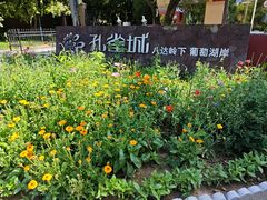 -八达岭孔雀城