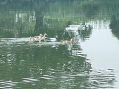 -水岸居湖景农家乐·阳澄湖大闸蟹