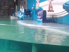 -南昌海洋公园