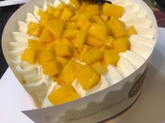-维尔纳斯·生日蛋糕·动物奶油冰淇淋蛋糕(六里桥店)