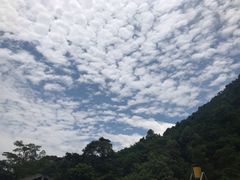 -羚羊峡古栈道森林公园