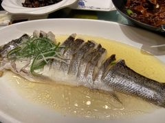 蒸海鲈鱼-同济大酒店(绿宝广场店)