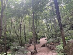 -大岭沟猕猴桃谷风景区
