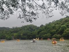 -西樵山风景名胜区-天湖公园