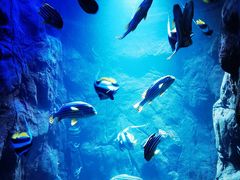 -海合安青岛极地海洋公园