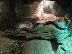 -可伦宾野生动物保护区