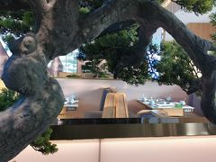-马家斑.鲜鱼火锅(松湖万科店)