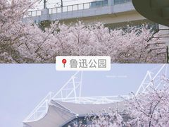 -上海辰山植物园