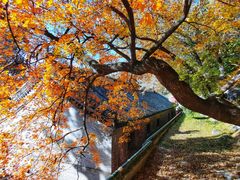 -潭柘寺景区