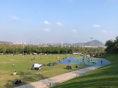 -羊山湖公园