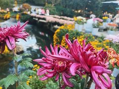-杭州植物园