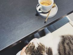 -UNI UNI(环亚凯瑟琳店)