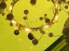 -汉密哈顿(解放路1段店)