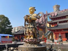 -上海东林寺(金山区)