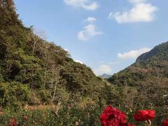-广州市石门国家森林公园