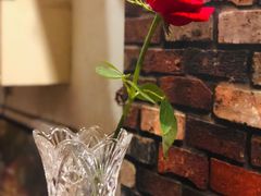 -斯多格书乡(北京大学畅春园店)