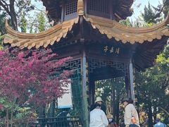 -嘉定紫藤园