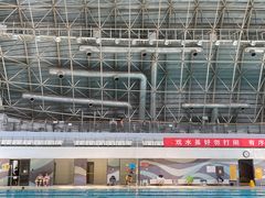 -二十一世纪饭店-游泳馆