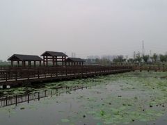 -天津东丽湖风景区