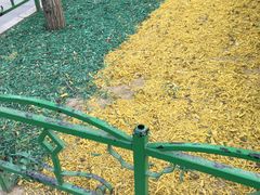 -双榆树公园