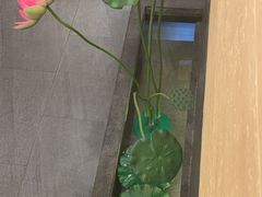 -九田家黑牛烤肉料理(衡百国际店)