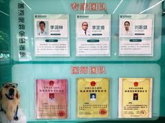 -瑞派动物医院·猫专科·至诚(江南中分院)
