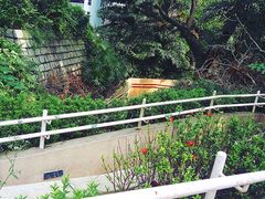 -九龙公园