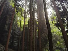 -梭布垭石林景区