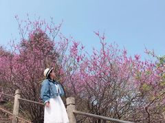 -天台山赤城山景区