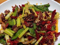 -曾牛肉