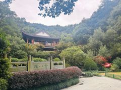 -十八棵（老龙井）御茶园(老龙井店)