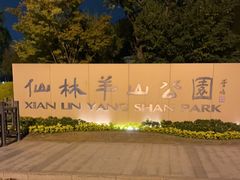 -羊山湖公园